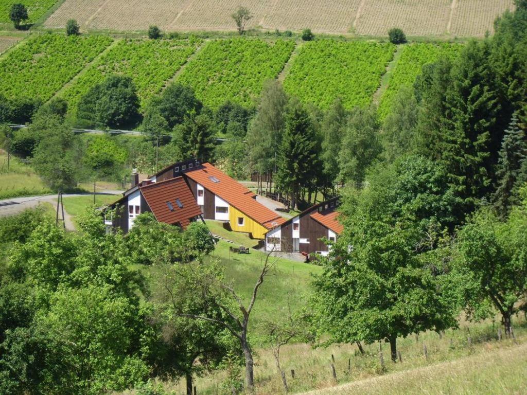 Typ Fuchsbau Hotell Schmallenberg Eksteriør bilde